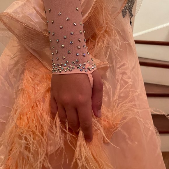 Competition Standard Dress - pre-owned - Picture 7 of 11